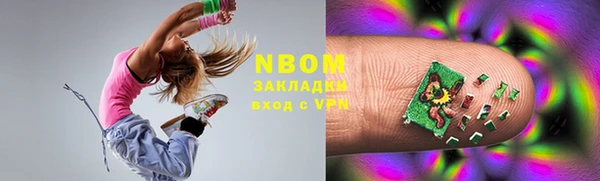 индика Няндома