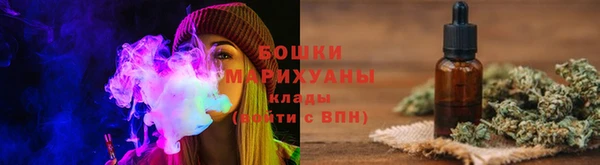 ешки Новодвинск