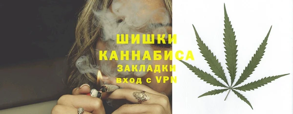 марки lsd Новозыбков