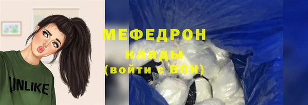 индика Няндома