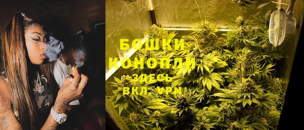 марки lsd Новозыбков
