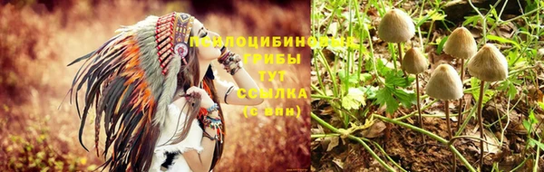ешки Новодвинск