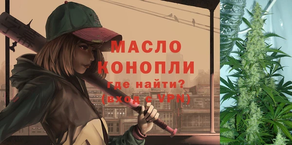 ешки Новодвинск