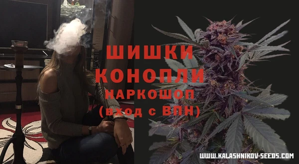 марки lsd Новозыбков