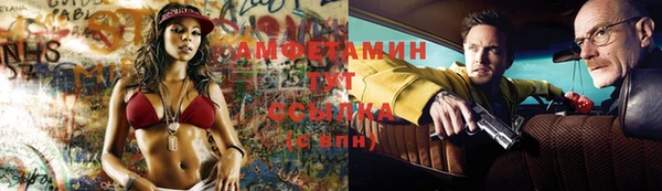 индика Няндома