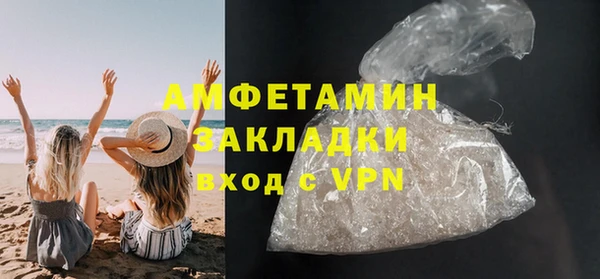 индика Няндома