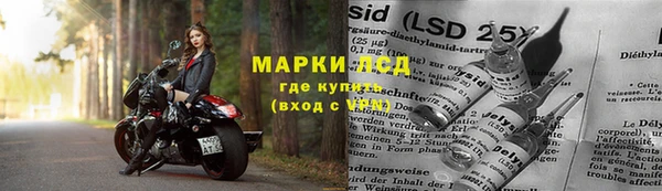 ешки Новодвинск