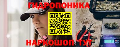 индика Жуковский