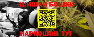 индика Жуковский