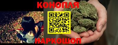 индика Жуковский