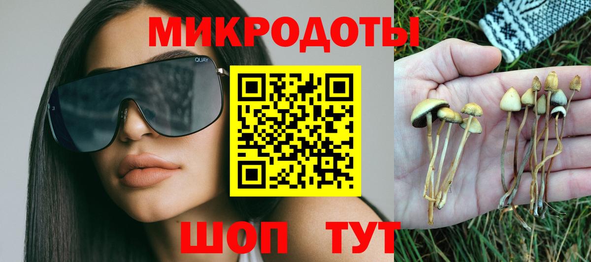 Тавда  Галлюциногенные грибы прущие грибы  даркнет сайт  Вход с VPN  Псилоцибиновые грибы мухоморы 
