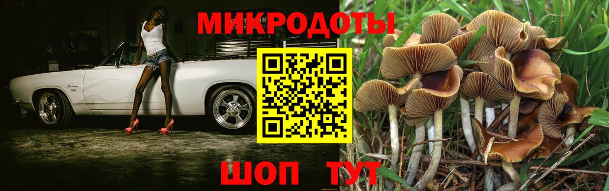 Галлюциногенные грибы ЛСД Тавда