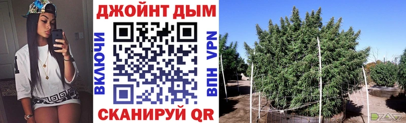 Конопля сатива  Тавда 
